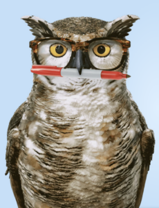 America’s Best Contacts & Eyeglasses owl