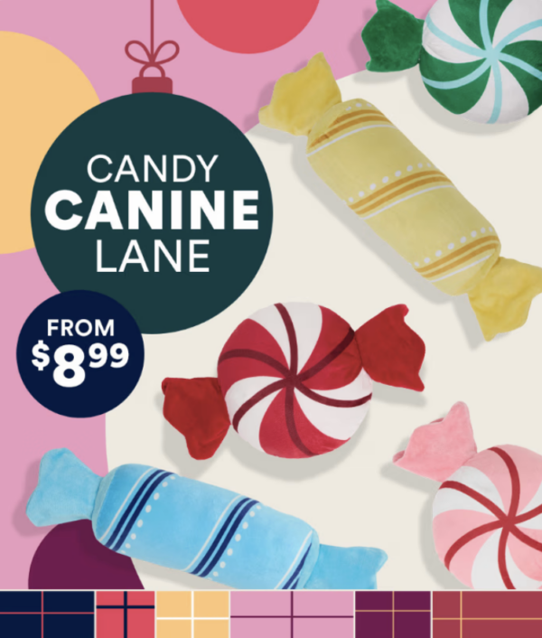 Candy Canine Lane