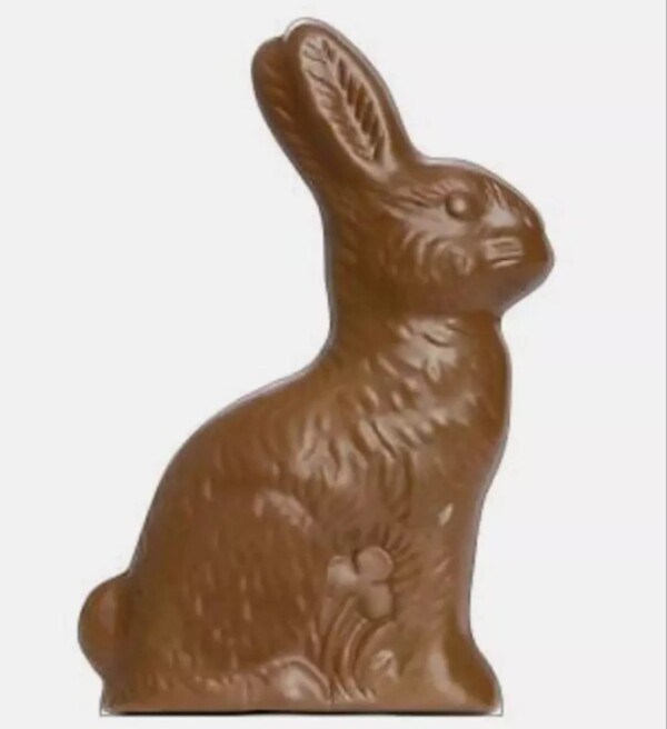 Chocolate Bunny