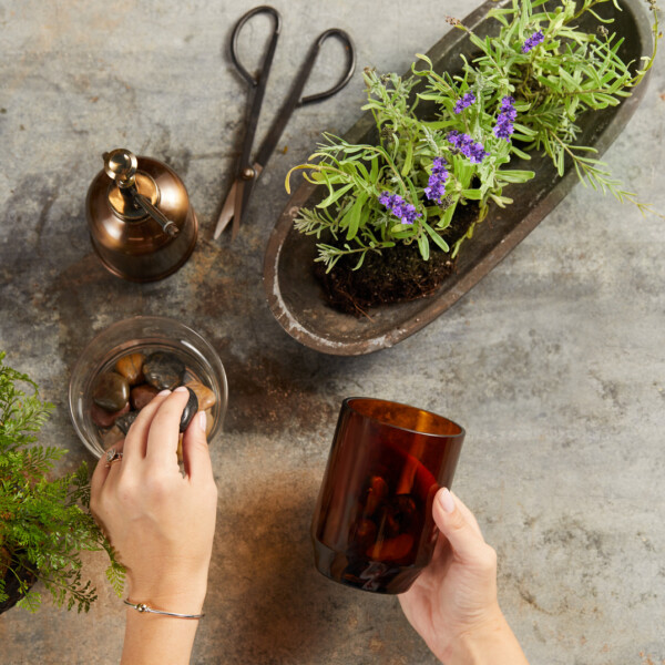WoodWick® ReNew